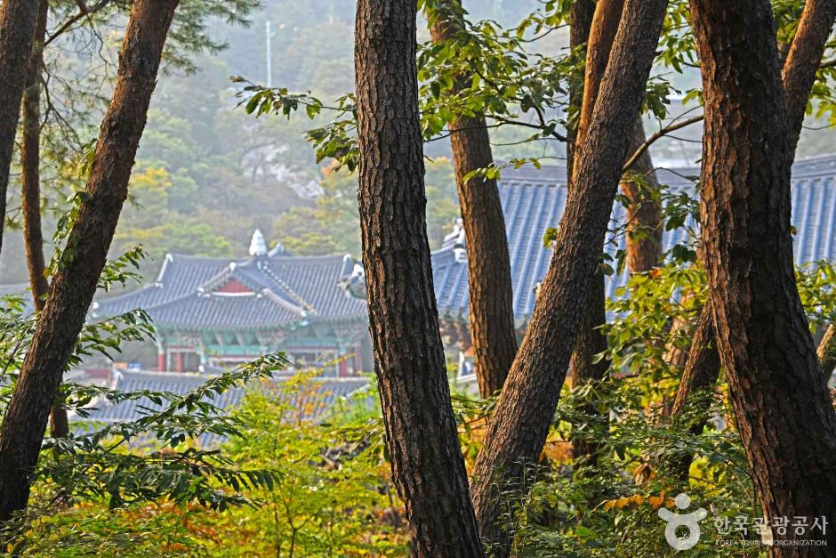 여행지와 숙소 권역을 보여주는 대표 이미지